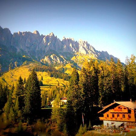 达斯索耐克公寓 Mühlbach am Hochkönig 外观 照片