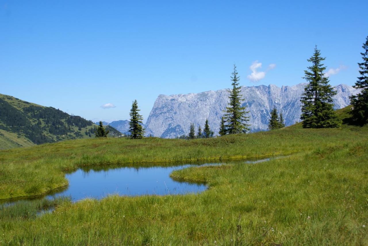 达斯索耐克公寓 Mühlbach am Hochkönig 外观 照片