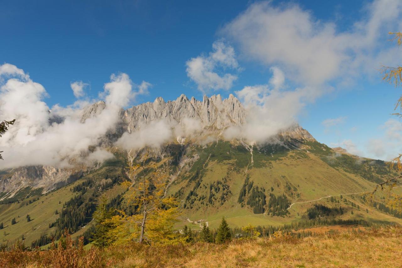 达斯索耐克公寓 Mühlbach am Hochkönig 外观 照片