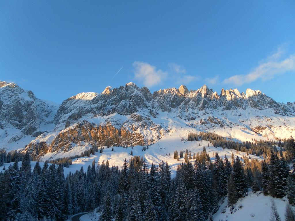 达斯索耐克公寓 Mühlbach am Hochkönig 外观 照片